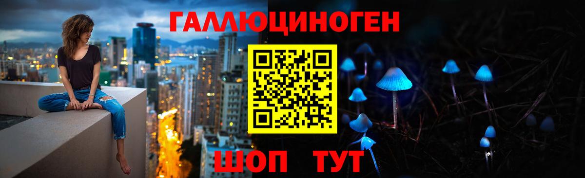 Псилоцибиновые грибы прущие грибы  Вход с VPN  цена наркотик  Щёлково 